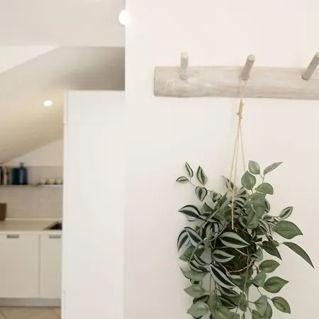 Apartment Con Parcheggio *